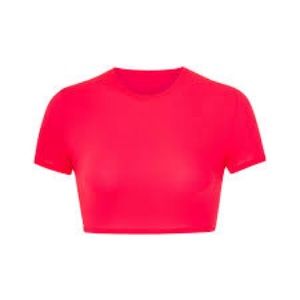Y006.  NWT Skims Fits Everybody Super Cropped T-Shirt